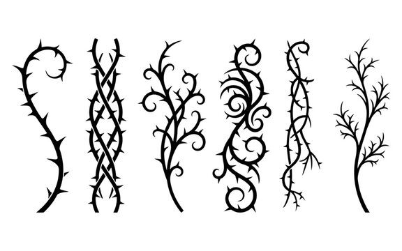 A collection of black thorny vine silhouettes isolated on a white background perfect for spooky halloween designs and gothic style decorative borders or tattoo art