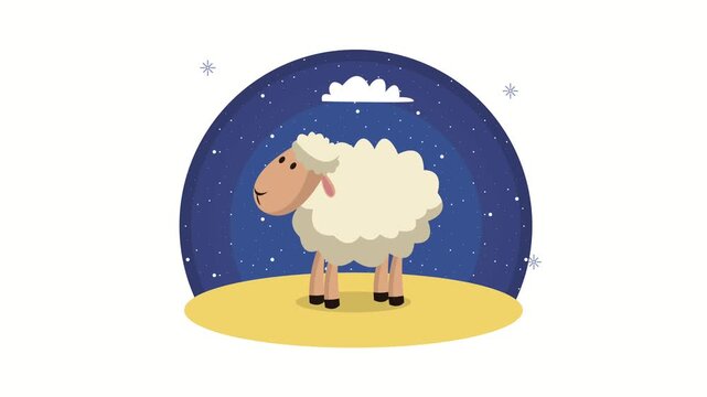 Cute cartoon sheep standing on yellow field under starry night sky with clouds animation footage.