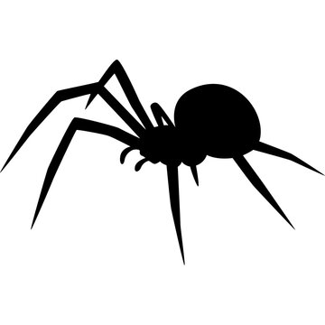 Spider Silhouette Vector