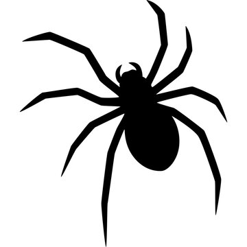 Spider Silhouette Vector