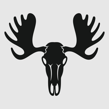 Silhouette of a moose skull with large antlers, centered on a white background.