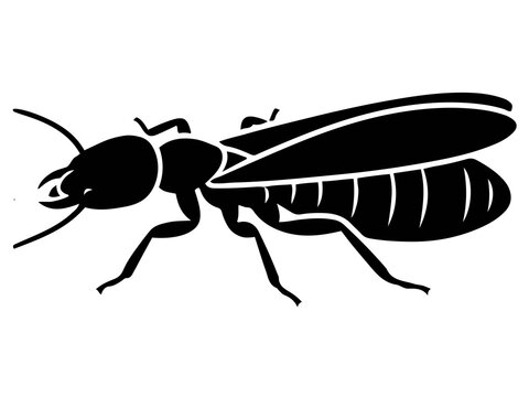 Winged Termite Insect Vector, Wood Pest and Entomology Graphic