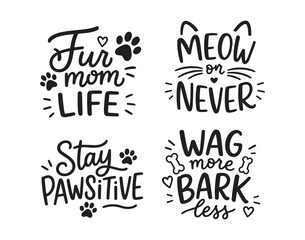 Fototapeta premium Hand drawn pet phrase lettering set with paw prints hearts and playful doodles, with pet, paw, print, heart detail, showing whisker, bone, doodle, handdrawn context