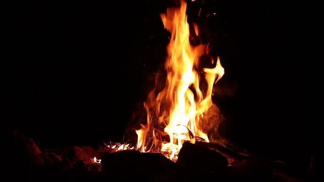 Close-Up of a Campfire Being Stoked at Night