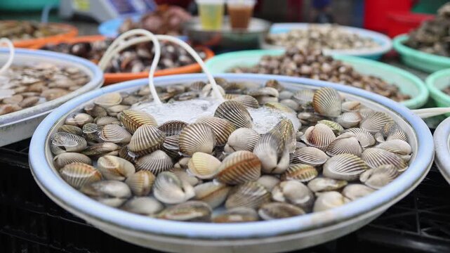 Close-up of fresh raw seashells, clams and mollusks in water in plastic basins for sale on a market stall in Xom Moi Market, Nha Trang, Vietnam. Commercial seafood supply and retail trade concept.