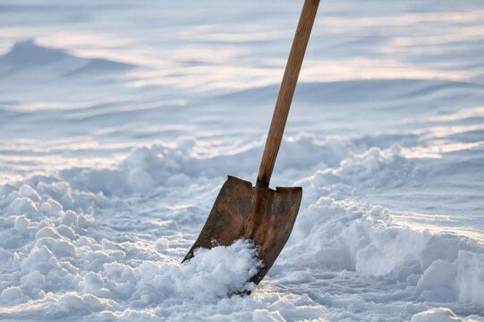Rusty shovel clearing snow from winter path