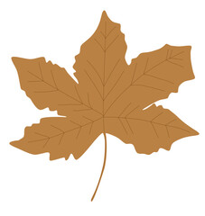 Fototapeta premium Simple brown autumn maple leaf Vector graphic isolated on transparent background for thanksgiving decoration