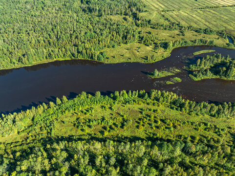 Aerial view of a winding river meandering through green taiga forest and fields near Kindasovo village in Karelia, Russia
