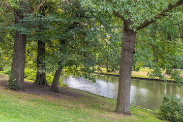 Tranquil Oasis: Lush Green Trees Frame a Serene Canal on a Sunny Day, Evoking Peace and Natural Beauty in an Outdoor Setting. Bruges town in Belgium, Europe.