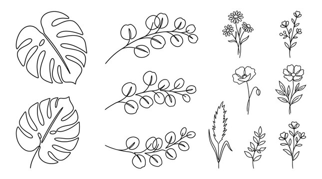 Minimalist botanical monoline vector set with hand drawn tropical leaves and floral elements