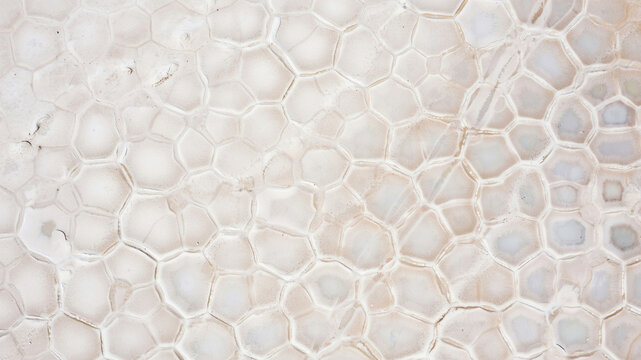 Abstract hexagonal stone texture background. Natural geometric pattern of cracked dry earth.