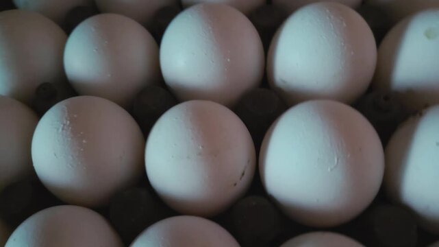 Rounding Top Down Perspective of Raw White Eggs Nestled Separately Inside Individual Slots of a Structured Stacking Storage Tray Holder for Wholesale Distribution