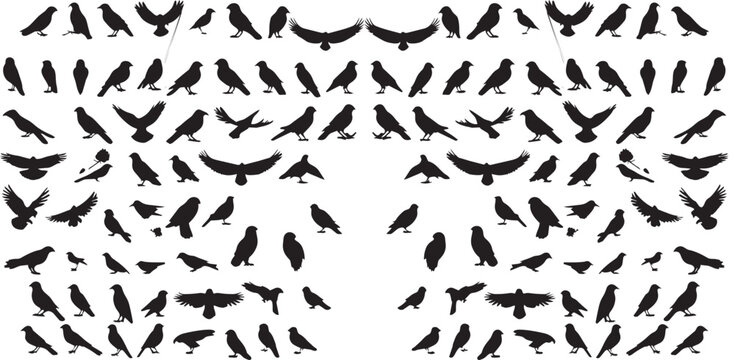 Birds pattern silhouette showcasing numerous avian creatures arranged in an intricate repeat design for decorative projects.
