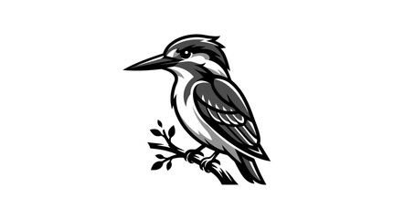Fototapeta premium A detailed black and white graphic illustration of a kingfisher bird perched on a small branch, depicted in a side profile view.