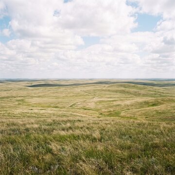 Vast rolling hills landscape under a cloudy sky, expansive green prairie meadow, scenic rural countryside vista