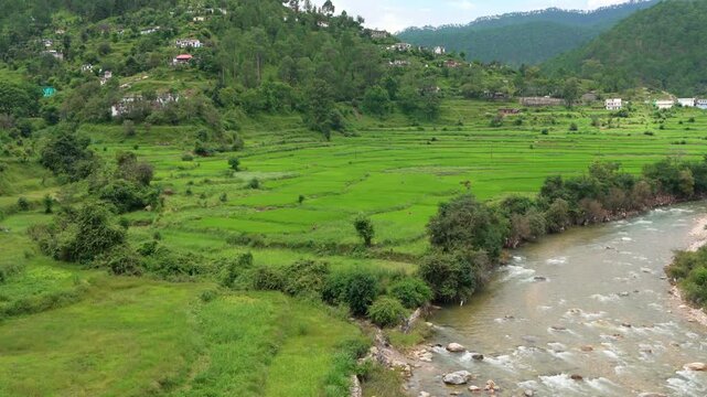 River Curving Past Green Terraced Paddy Fields Near Kausani, Uttarakhand