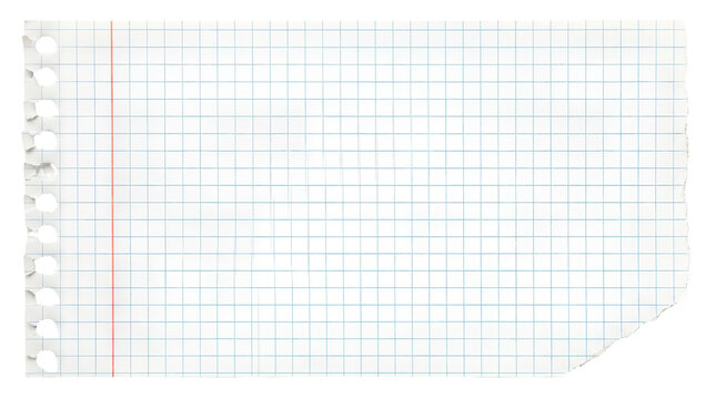 Graph paper sheet with torn edge and binder holes, blank squared notebook page, white grid paper for school or office math