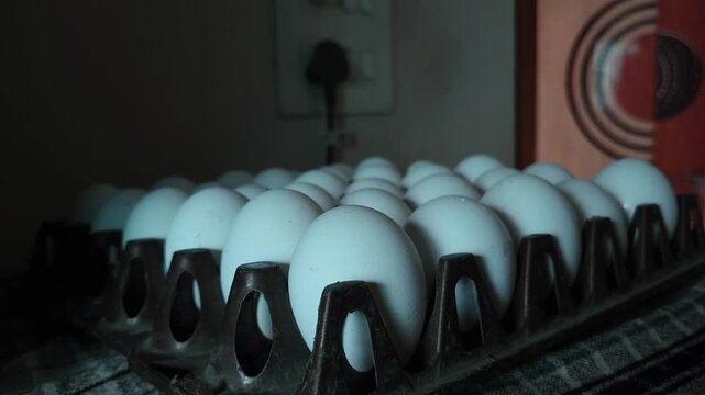 Symmetrical Alignment of Fresh White Chicken Eggs Placed inside a Plastic Tray in a Room with a Wall Switch Box and Door, Showcasing Minimalist Domestic Kitchen Ingredient Storage Concept