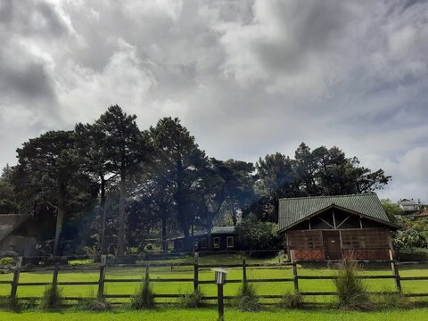 Wooden Cottage and Pine Trees in Nuwara Eliya Countryside Under Cloudy Sky, Gregory Park, Nuwara Eliya Sri Lanka