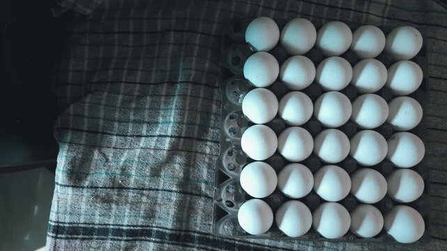 Top view of white chicken eggs organized in a full plastic tray on a plaid kitchen cloth, symbolizing food supply, organic grocery shopping, and culinary preparation.