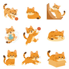 Obraz premium Cute Cat Character Vector Illustration Design Element