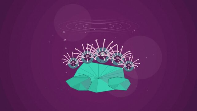 Abstract animated coral polyp feeding drawn as violet and blue lines and shapes on a deep dark background. Seamless looping 4K motion graphics video with free space for text, ideal for science communi