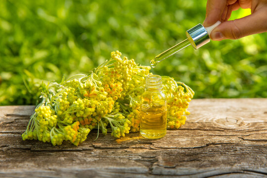 Helichrysum extract in a bottle and capsules. Selective focus.