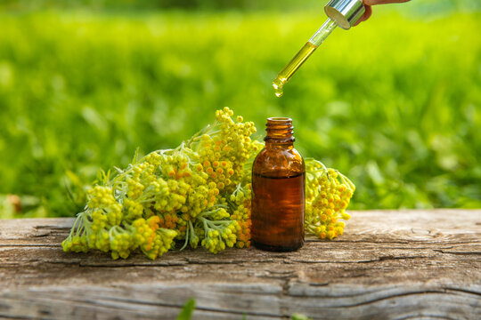 Helichrysum extract in a bottle and capsules. Selective focus.