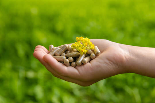 Helichrysum extract in a bottle and capsules. Selective focus.