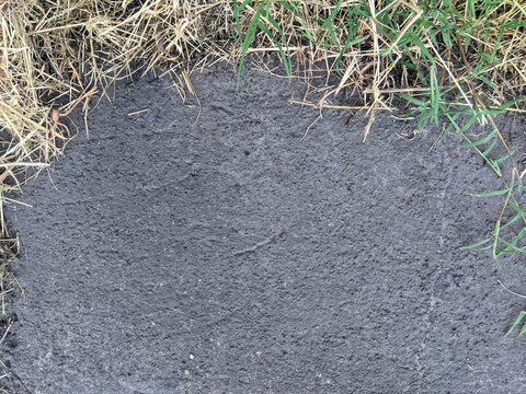 Rough asphalt surface textured background bordered with dry grass and wild weeds