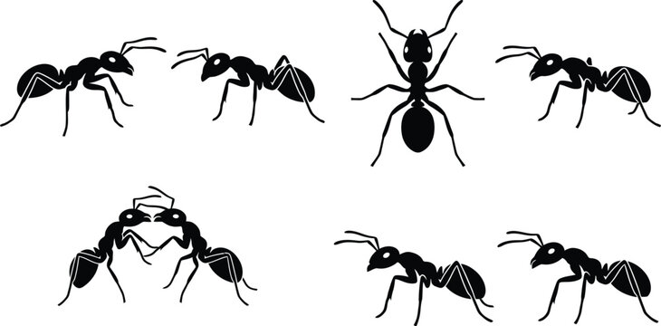 Black and White Ants Silhouette Icons Set