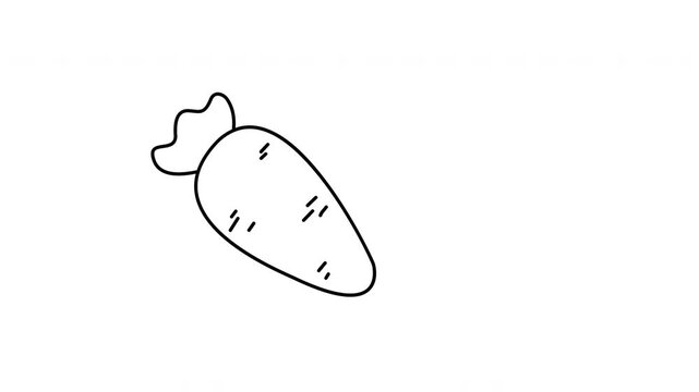 carrot outline vegetable
