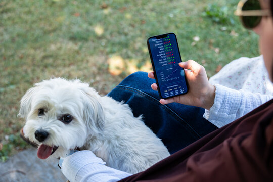 Woman sitting on a bench with her dog, watching the stock market prices on her smartphone screen. Investment decision, strategy, financial advisor, assets, growth, wealth, online trading.