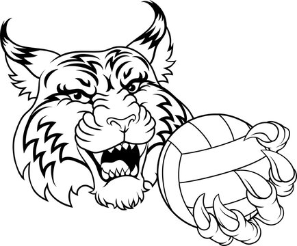A wildcat cougar lynx lion volleyball animal sports mascot holding a volley ball in his claw