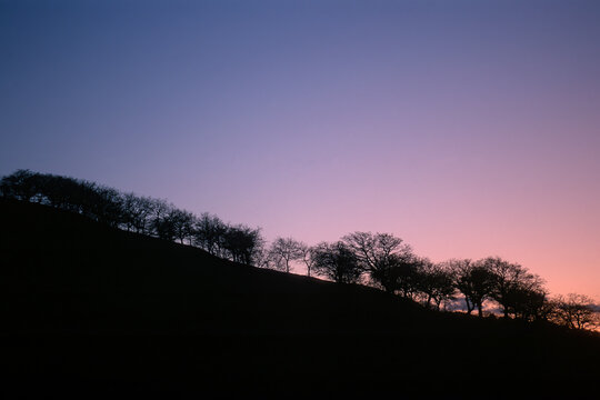 the silhouette of a line of trees along a sloping hill under a twilight sky with a blue-to-pink gradient. Osilo Sassari, Sardinia, Italy