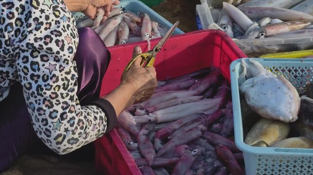 Panning shot of a local woman processing fresh squid with scissors in the morning sun at a coastal fishing village beach market in Vietnam