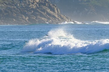 A powerful ocean wave with crystal-clear spray, ready for water sports © GenadiyGM