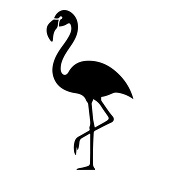 flamingo silhouette isolated on white