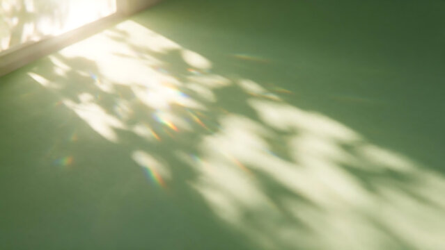 Natural leaf shadow pattern on green surface