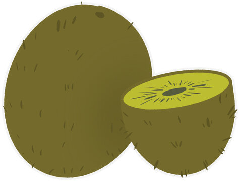 Whole and Half Kiwi Fruit Hand Drawn Illustration