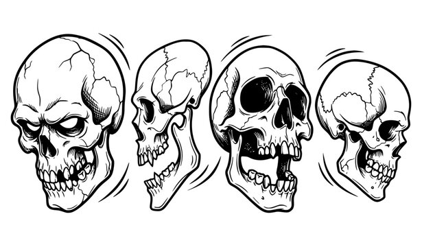 Stylized Skull Portraits in Three Quarter and Side View Vector Collection