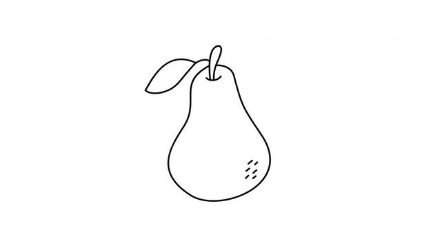 handdrawn pear fruit outline