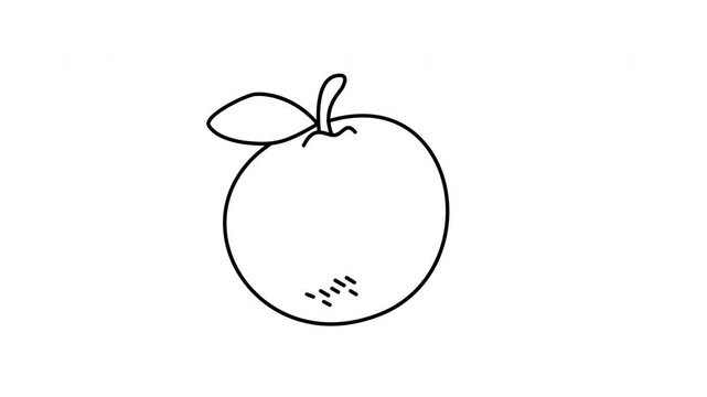 orange fruit outline doodle