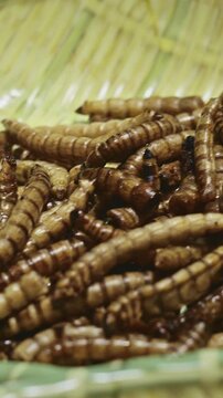 Chengdu, Sichuan, China. Fried Mealworm Larvae, close-up view. Cooked Mealworm Larvae Served On Bamboo Dish. Various Cooked Insects Thread On Skewers. Crispy Insects Popular Sichuan Snack Cheap High
