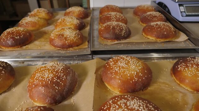 Close-up of freshly baked burger buns with sesame seeds in the restaurant kitchen. The burger buns have a crispy crust and are freshly made.