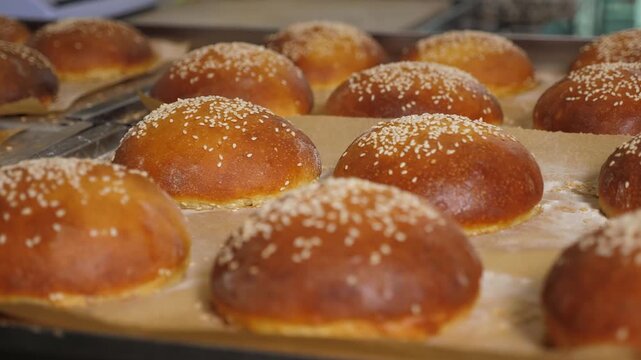 Lots of freshly baked burgers in the kitchen of a restaurant or bakery. Burgers with sesame seeds and a crispy crust.
