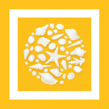 Summer white seashell abstract design background on yellow, white square frame. Decorative art for greeting card.
