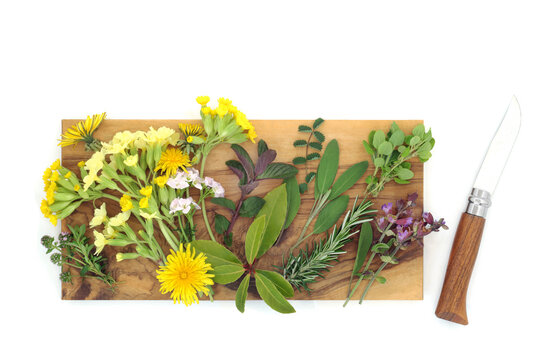 Preparing herbs, flowers for cooking with fresh garden ingredients, olive wood board, cutting knife. Healthy organic eating food option for decoration or flavour.