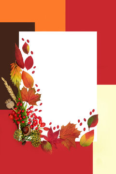 Autumn leaf colors with flora and red berries. Harvest and Samhain festival nature design, white copy space, vivid seasonal design.
