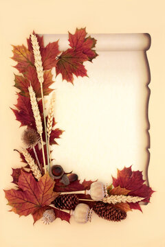 Vivid Autumn fall leaves, wheat and flora on paper scroll on cream background. Old fashioned seasonal retro design for Harvest and Samhain festival.
